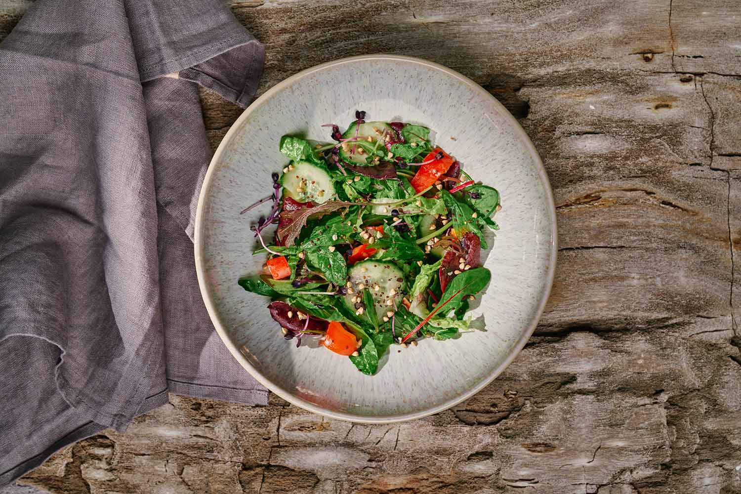 Frischer Salat mit gekeimten BIO Samen und Kernen